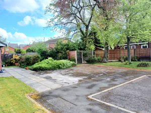 Photo 7- click for photo gallery